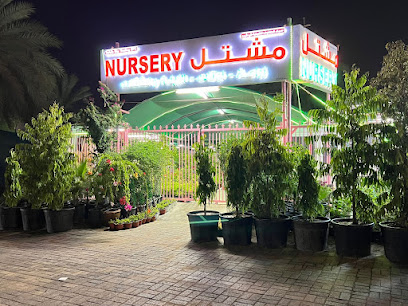 مشتل سماء الطفوف - السيب - +968 9119 3950
