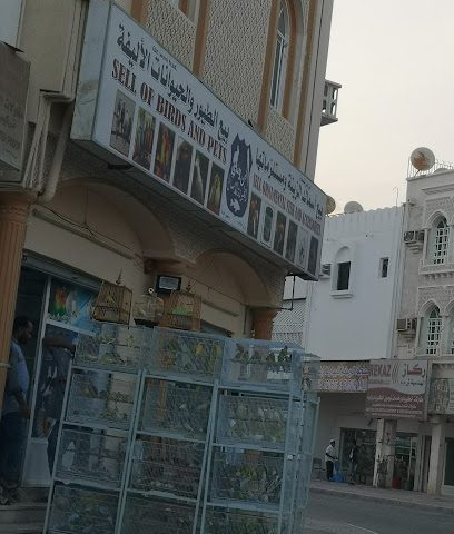 تجارة الطيور أسماك الزينه والحيوانات الاليفه - صور -