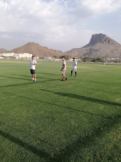 التعاون - Oman|Al Hamra|طريق الروضھ - الحمراء، الحمراء،|38Q7+RJG