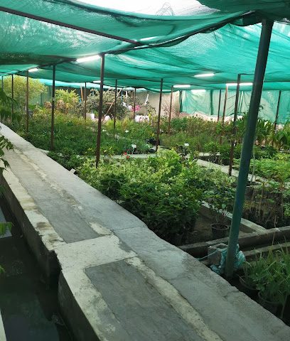 360 جرين فارم - العامرات - +968 9276 3836